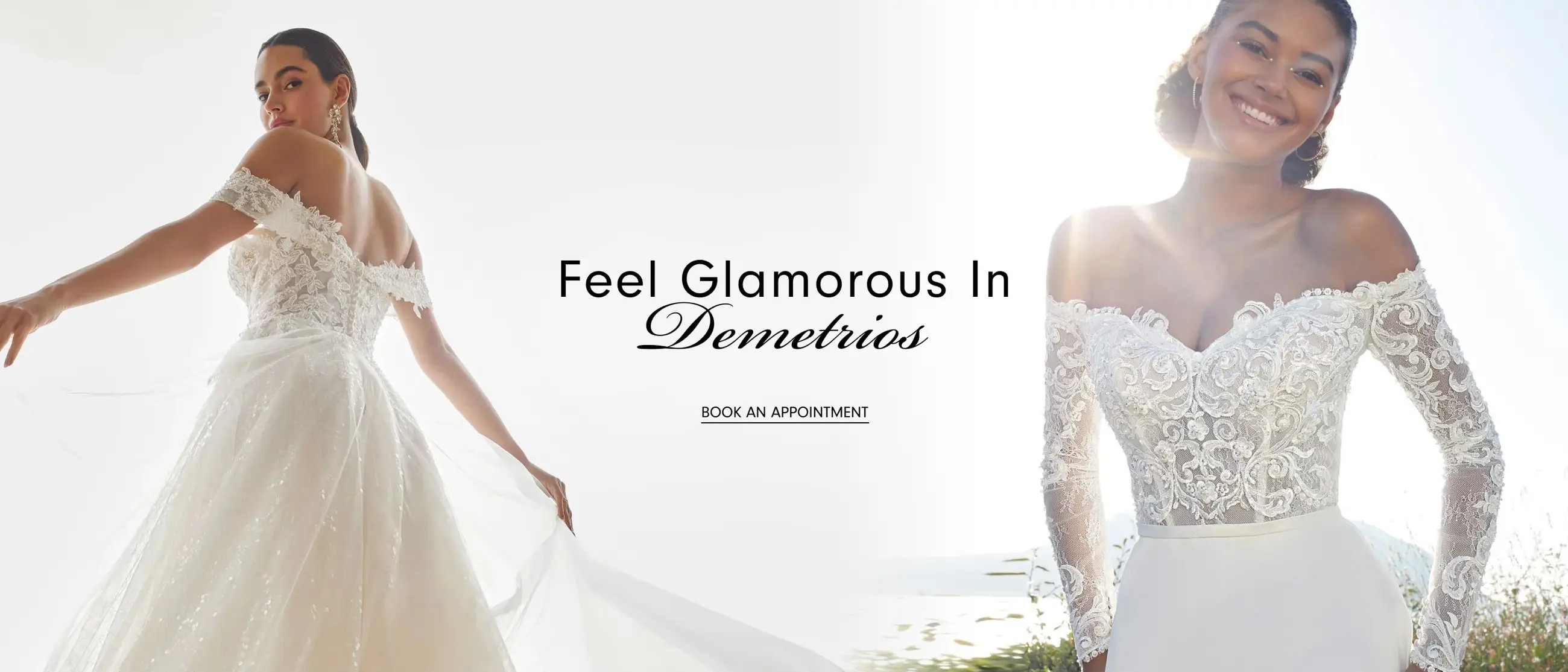 Demetrios banner desktop